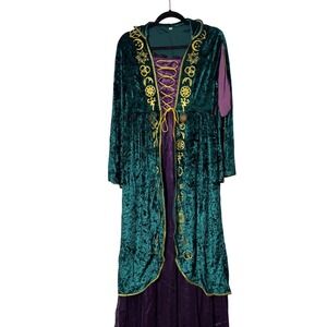 Winifred Sanderson witch Hocus Pocus Halloween costume Medium Dress Only